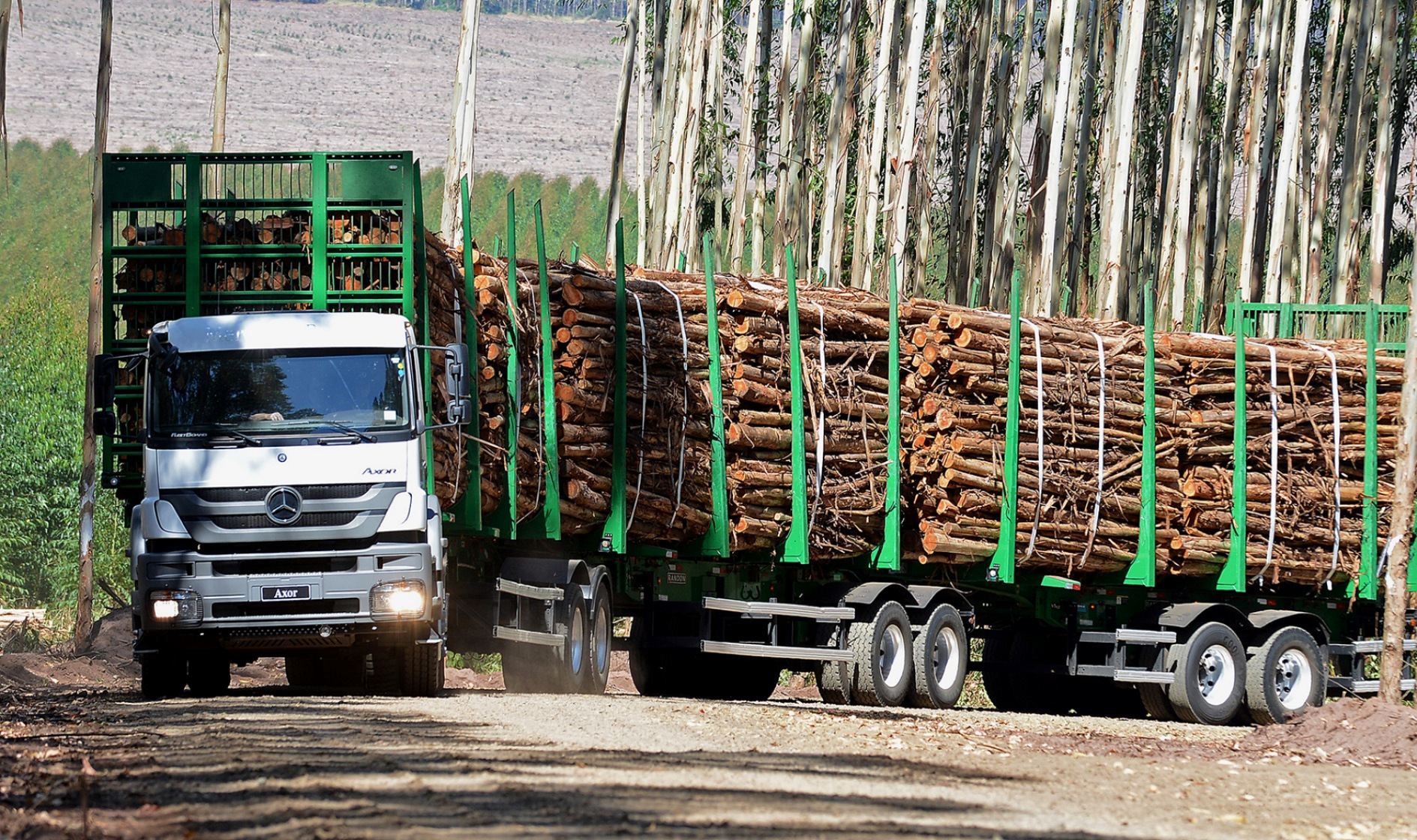 Mercedes-Benz Actross  Caminhão de madeira, Caminhões de