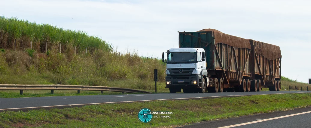 Produção canavieira no Norte e Nordeste ultrapassa 59 milhões