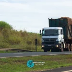 Produção canavieira no Norte e Nordeste ultrapassa 59 milhões