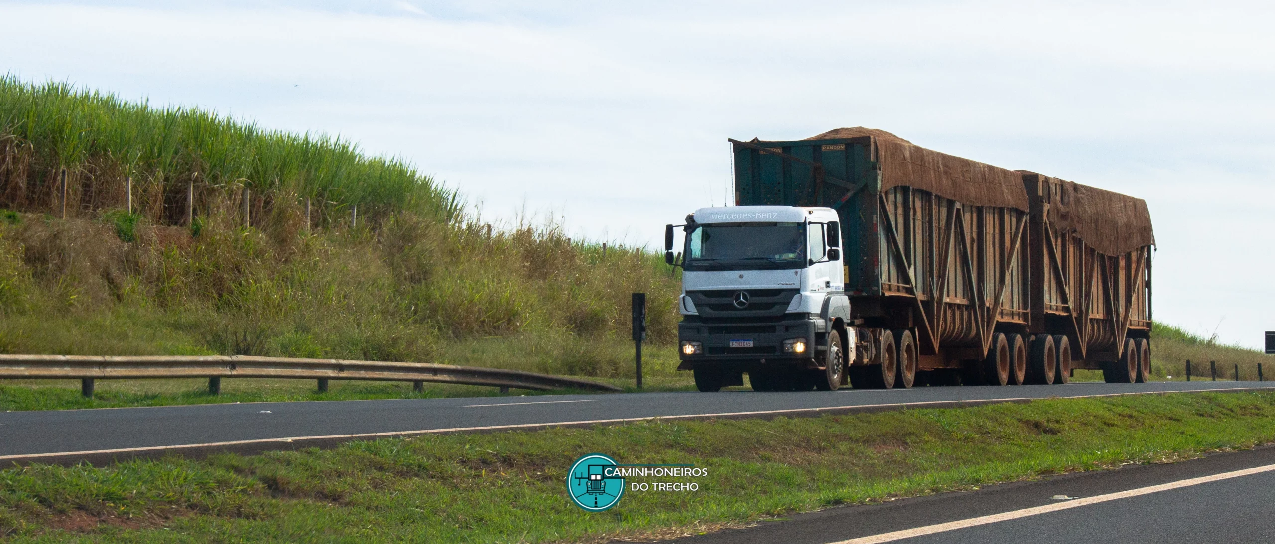 Produção canavieira no Norte e Nordeste ultrapassa 59 milhões de toneladas na safra 2023-2024