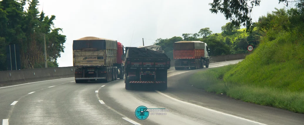 Descarbonização: Transição energética mantém-se aliada